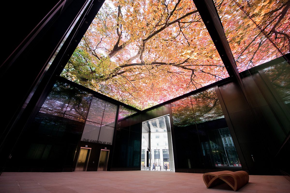 Fen_Court-social Ceiling LED Screen