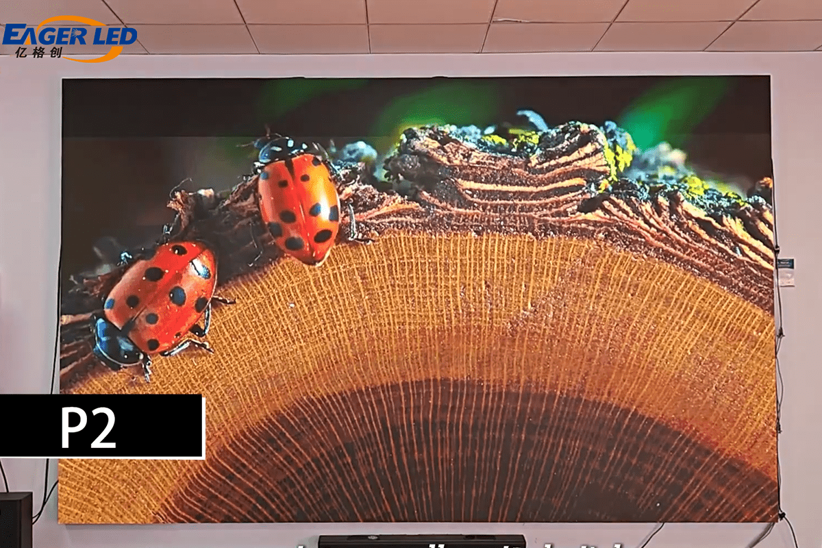 EagerLED Pixel Pitch Display