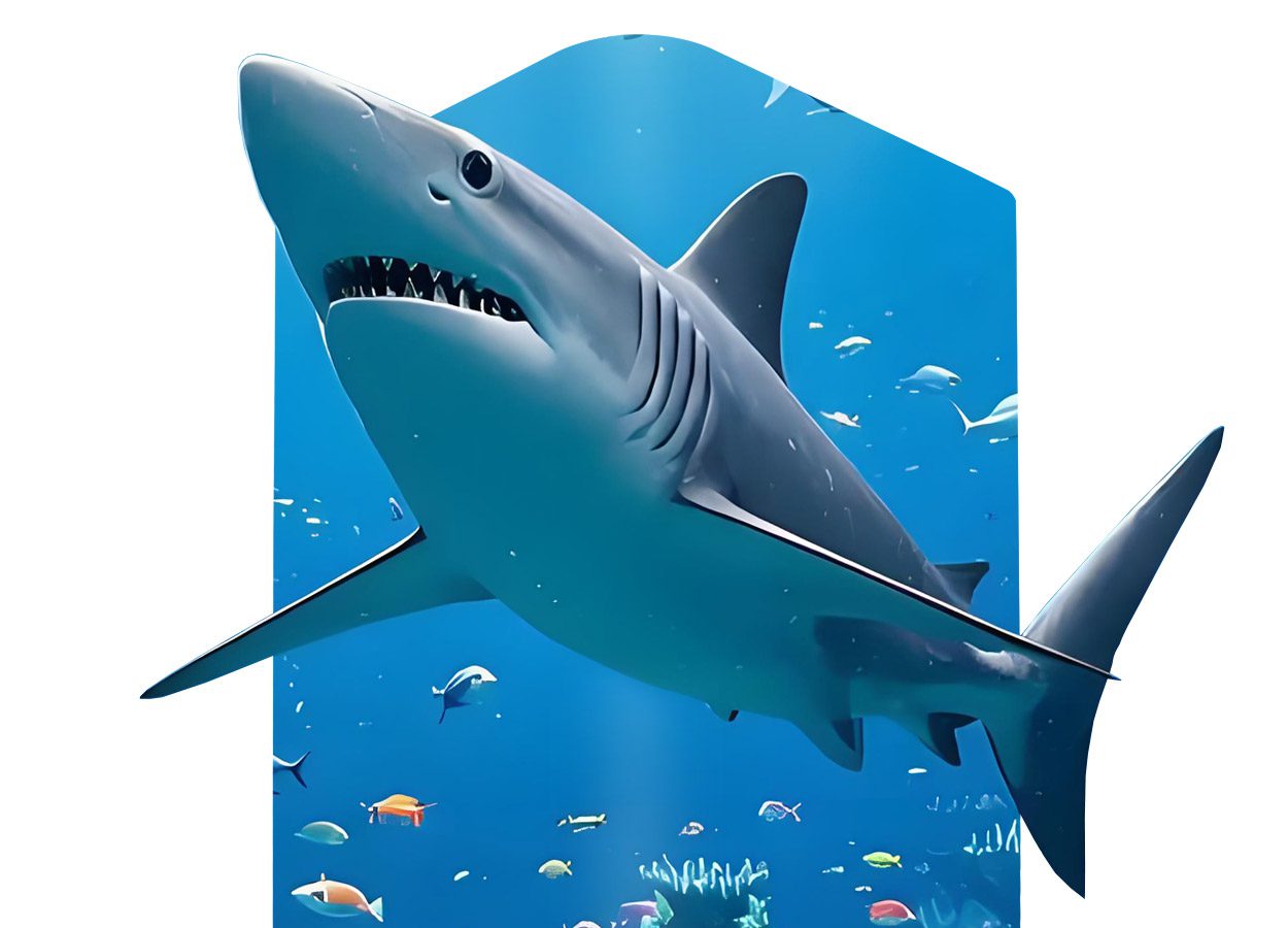 EA3DiP1 LED poster display naked eye 3D effect