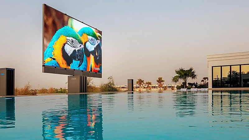 Outdoor-Areas - LED Screen Board Outdoor swimming pool with a large billboard showing bright blue and yellow macaws, reflections on the water.